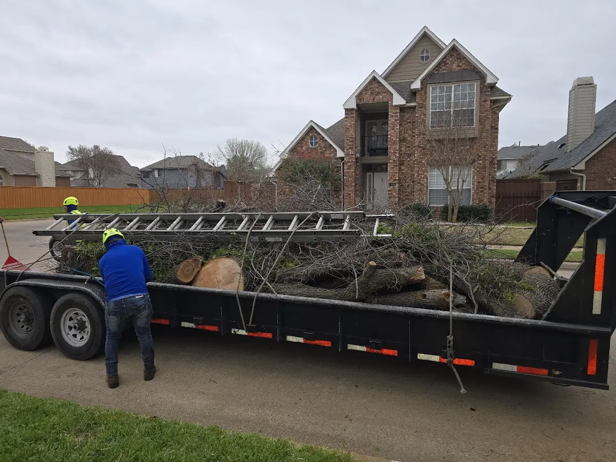 Expert Tree Fertilization with proper safety equipment in Fredonia